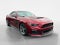 2017 Ford Mustang GT Premium Roush Stage 3
