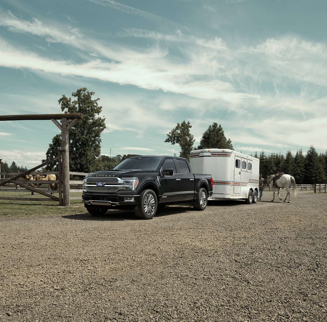 Black Ford F-150 XLT hitched to a horse trailer at a ranch, half ton towing near Farmington MO