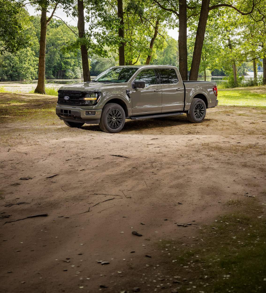 Gray Ford F-150 pickup parked under shade trees on a dirt clearing, Farmington MO